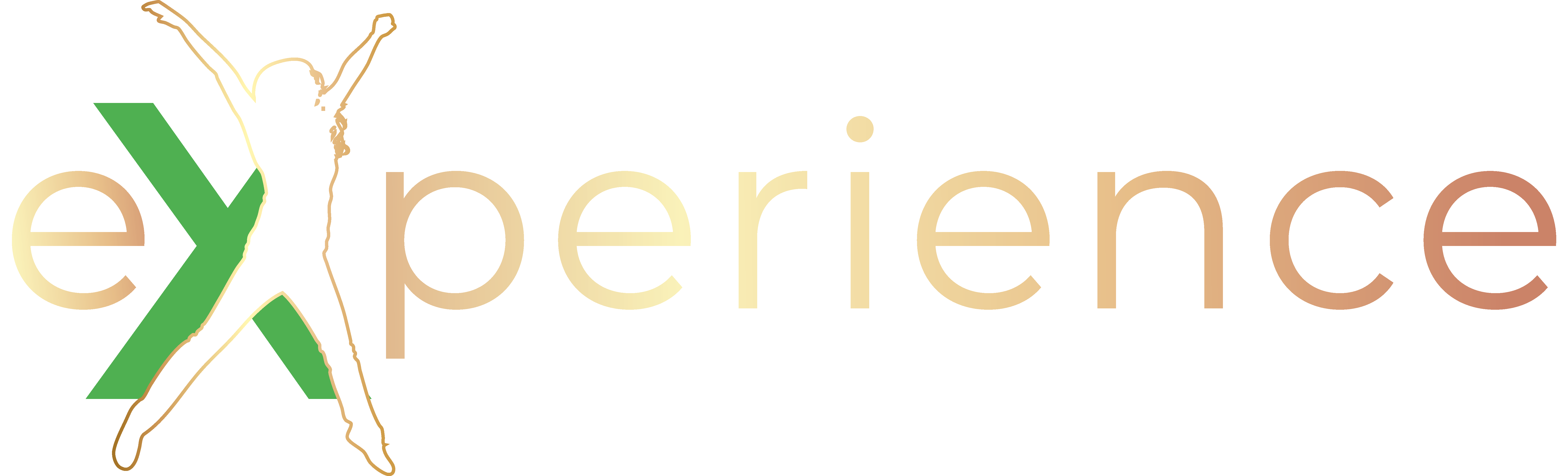 Experience Logo